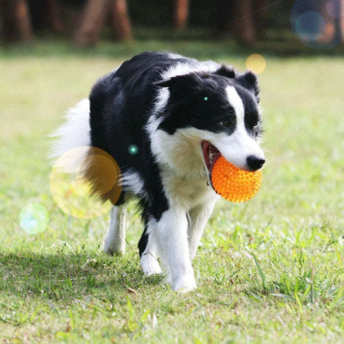 Anywags Pet Toys Blue Bite Resistant Chew Ball Enrichment Fun Accessories