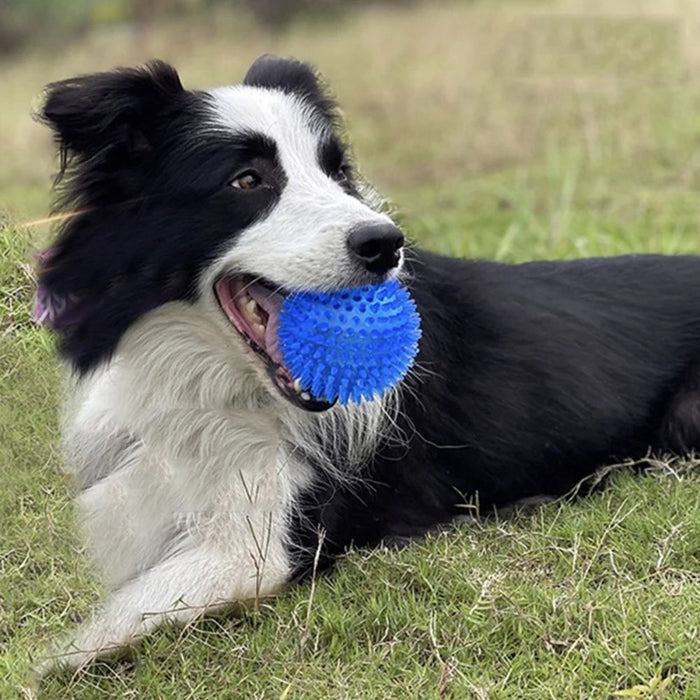 Anywags Pet Toys Blue Bite Resistant Chew Ball Enrichment Fun Accessories