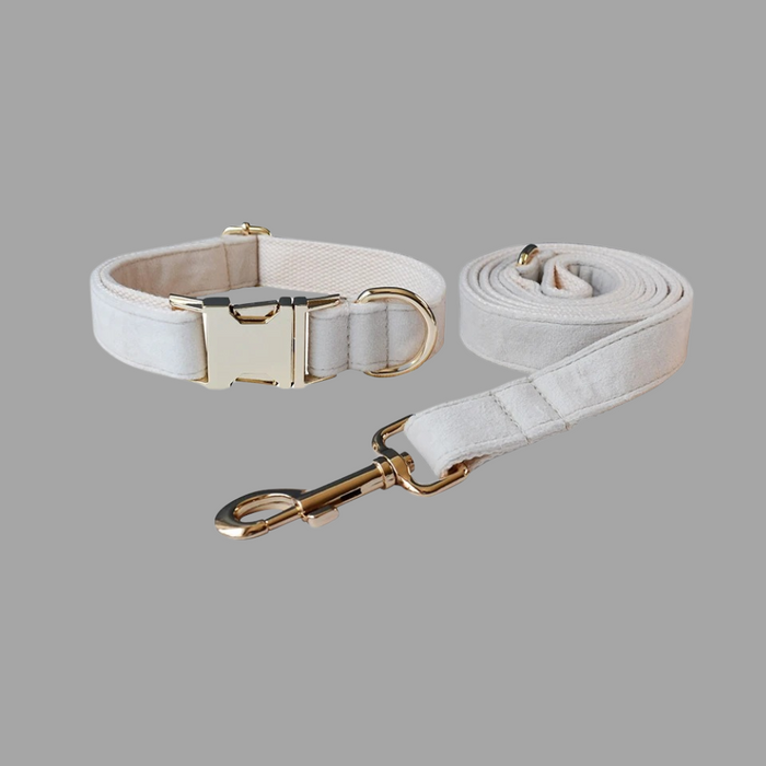 Anywags Pet Collar Leash Set White Supplies Dog Accessories