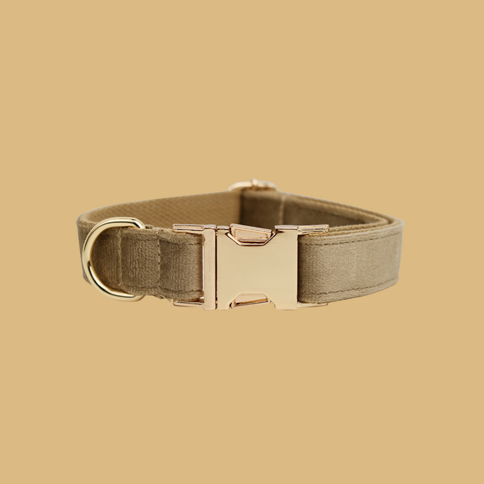 Anywags Pet Collar Beige Custom DIY Accessories