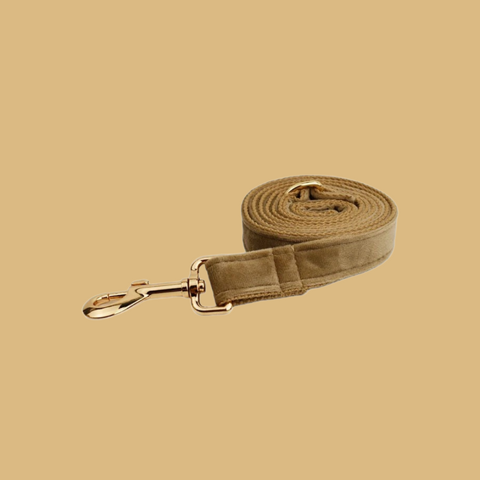 Anywags Pet Leash Beige Supplies Dog Accessories