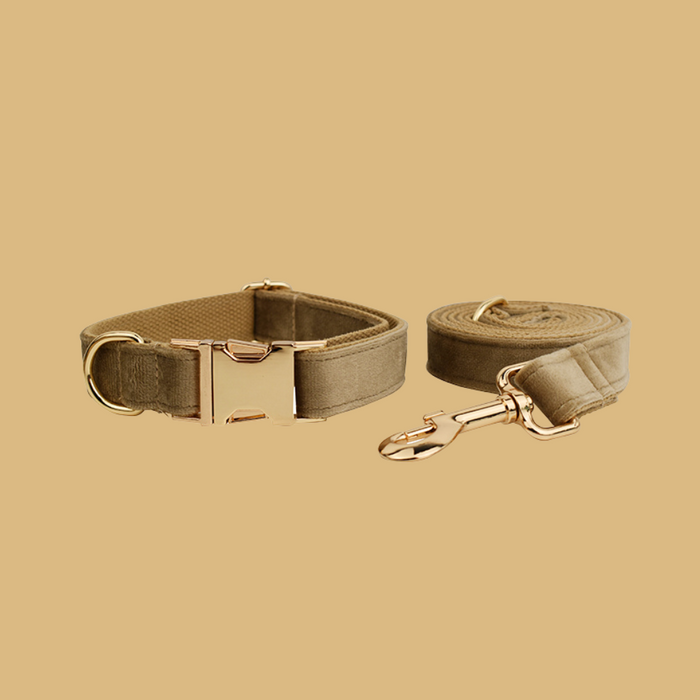 Anywags Pet Collar and Leash Set Beige High Quality Dog Accessories