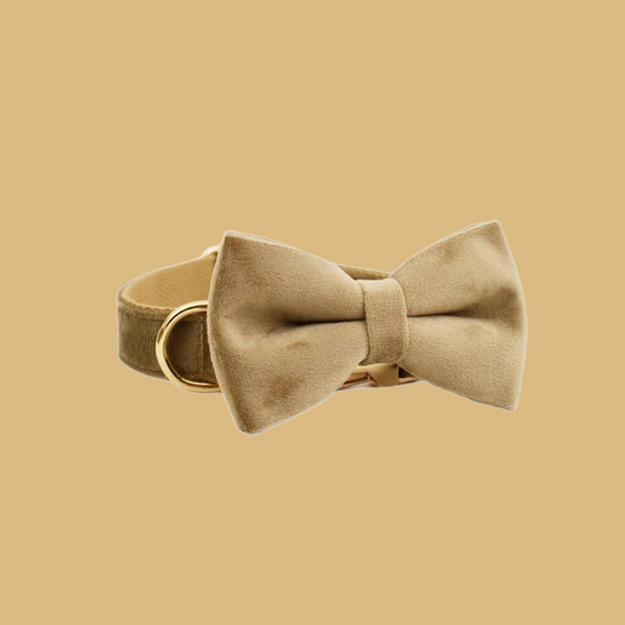 Anywags Pet Bow Collar Beige High Quality Dog Accessories