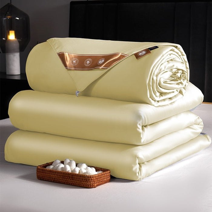 Anyhouz Duvet Cover Beige Premium Soft Mulberry Silk Blanket Comforter 4000G