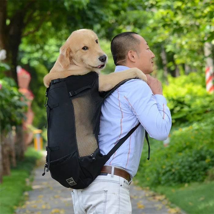 Anywags Pet Carrier Small Light Gray Travel Riding Driving Pet Backpack for Medium to Large Dogs with Pockets for Pet Supplies