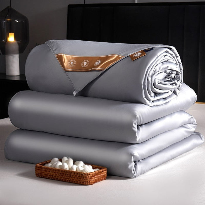 Anyhouz Duvet Cover Gray Premium Soft Mulberry Silk Blanket Comforter 2000G