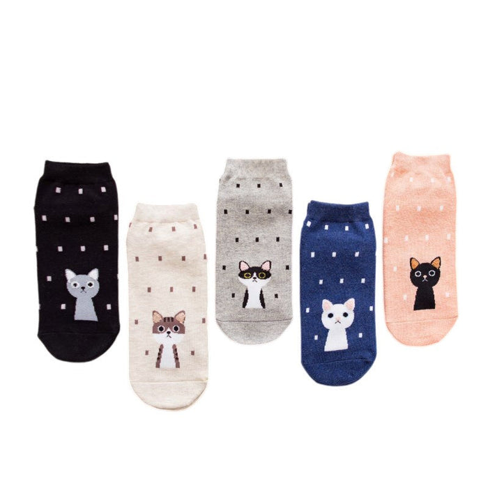 Anysox 5 Pairs One Size 5-9 Kitty Spring Summer Fashion Women Cotton Sox Cartoon Cute Girl Happy Funny Socks