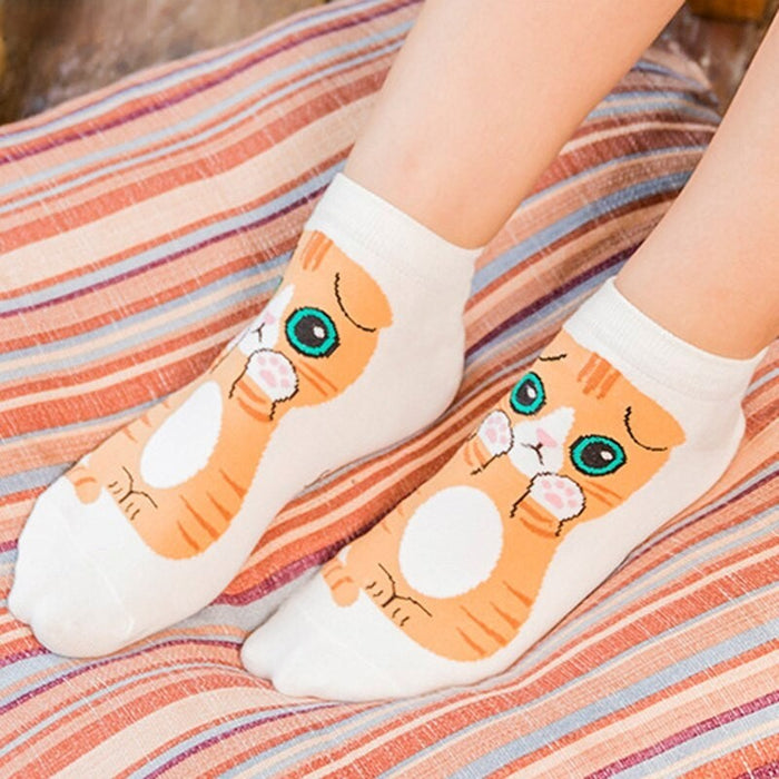 Anysox 5 Pairs One Size 5-9 Kitty Spring Summer Fashion Women Cotton Sox Cartoon Cute Girl Happy Funny Socks