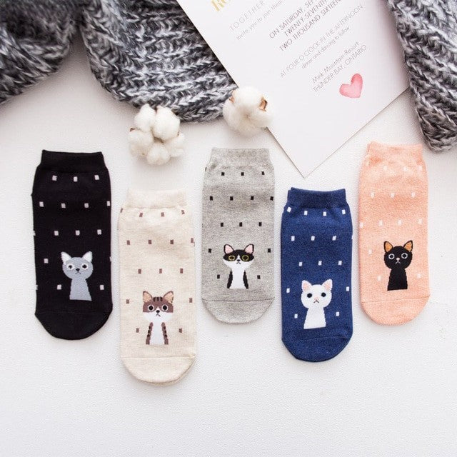 Anysox 5 Pairs One Size 5-9 Kitty Spring Summer Fashion Women Cotton Sox Cartoon Cute Girl Happy Funny Socks